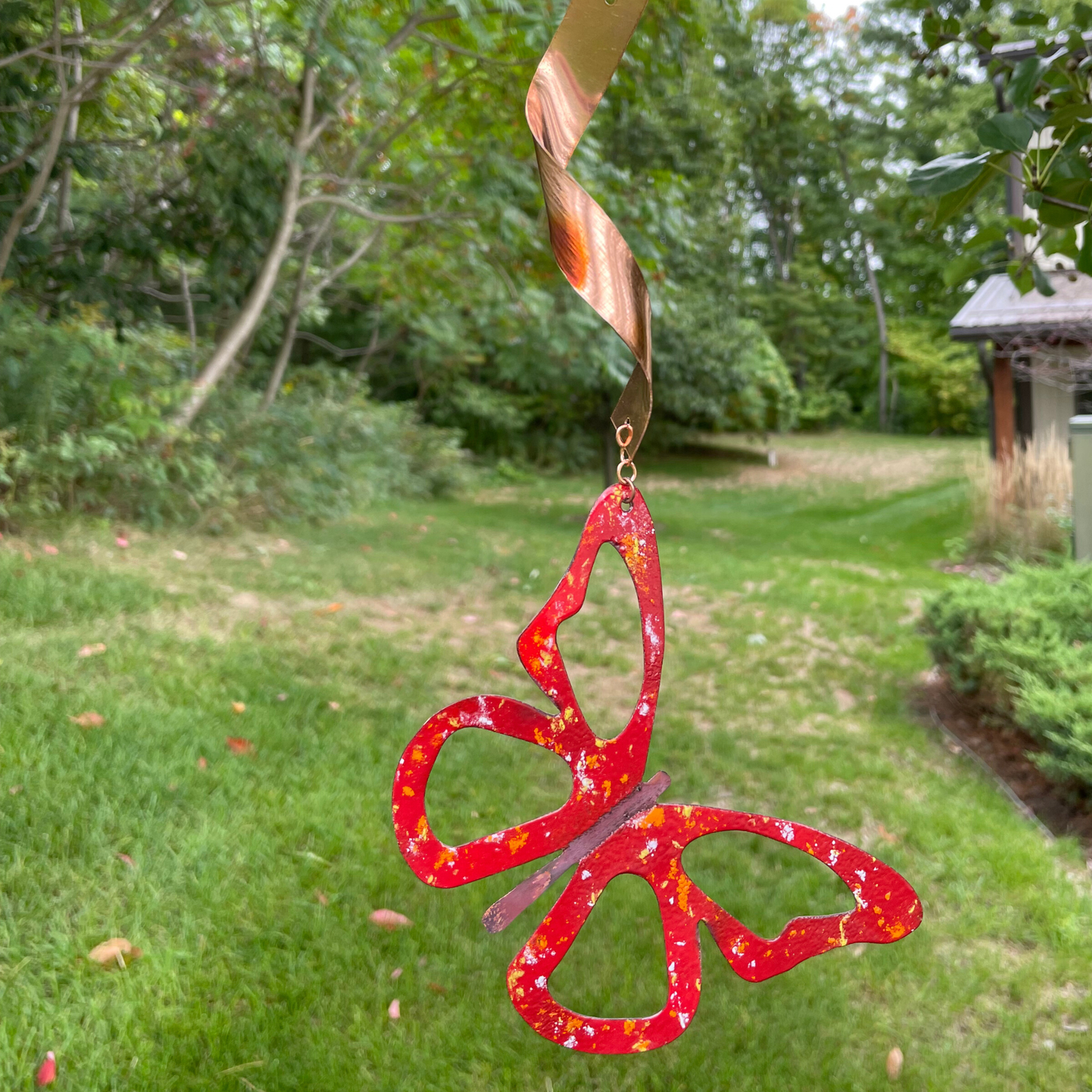 Butterfly Spinner Lg