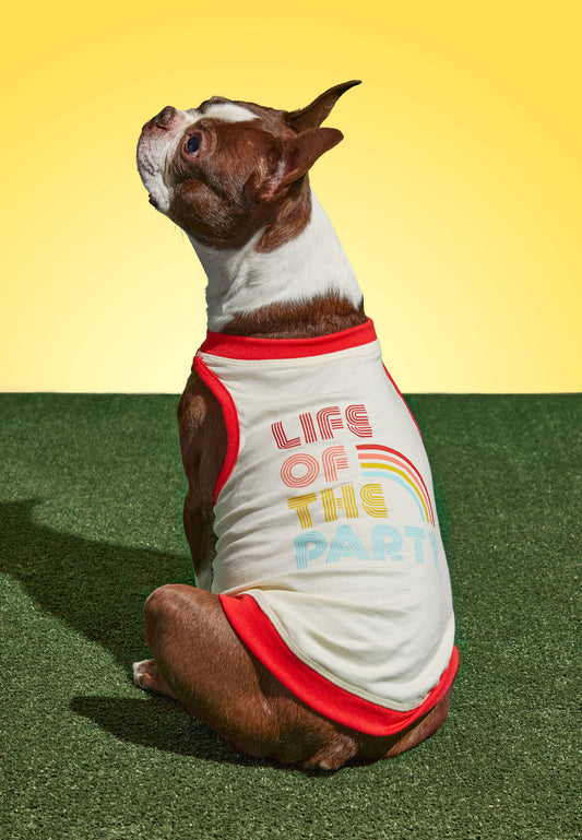 Brass Monkey Life Of The Party Dog Tank