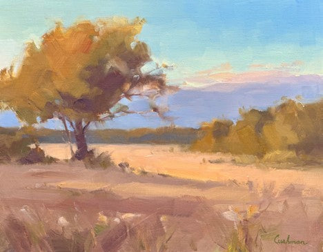 Audrey Cushman Evening Glow