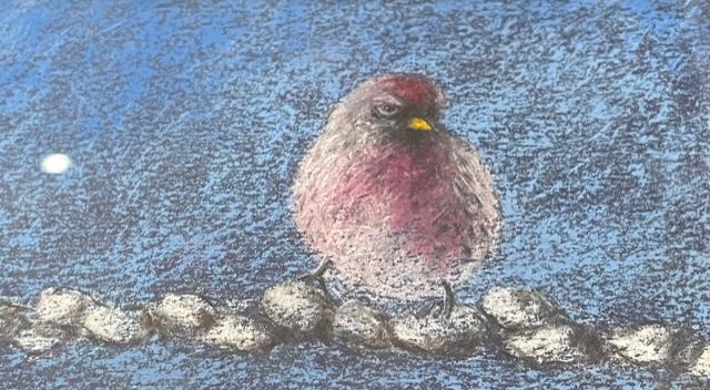 Bill Gramley Original Bird Watching
