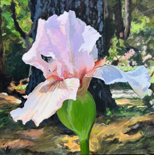 Julie Larick Pink Iris