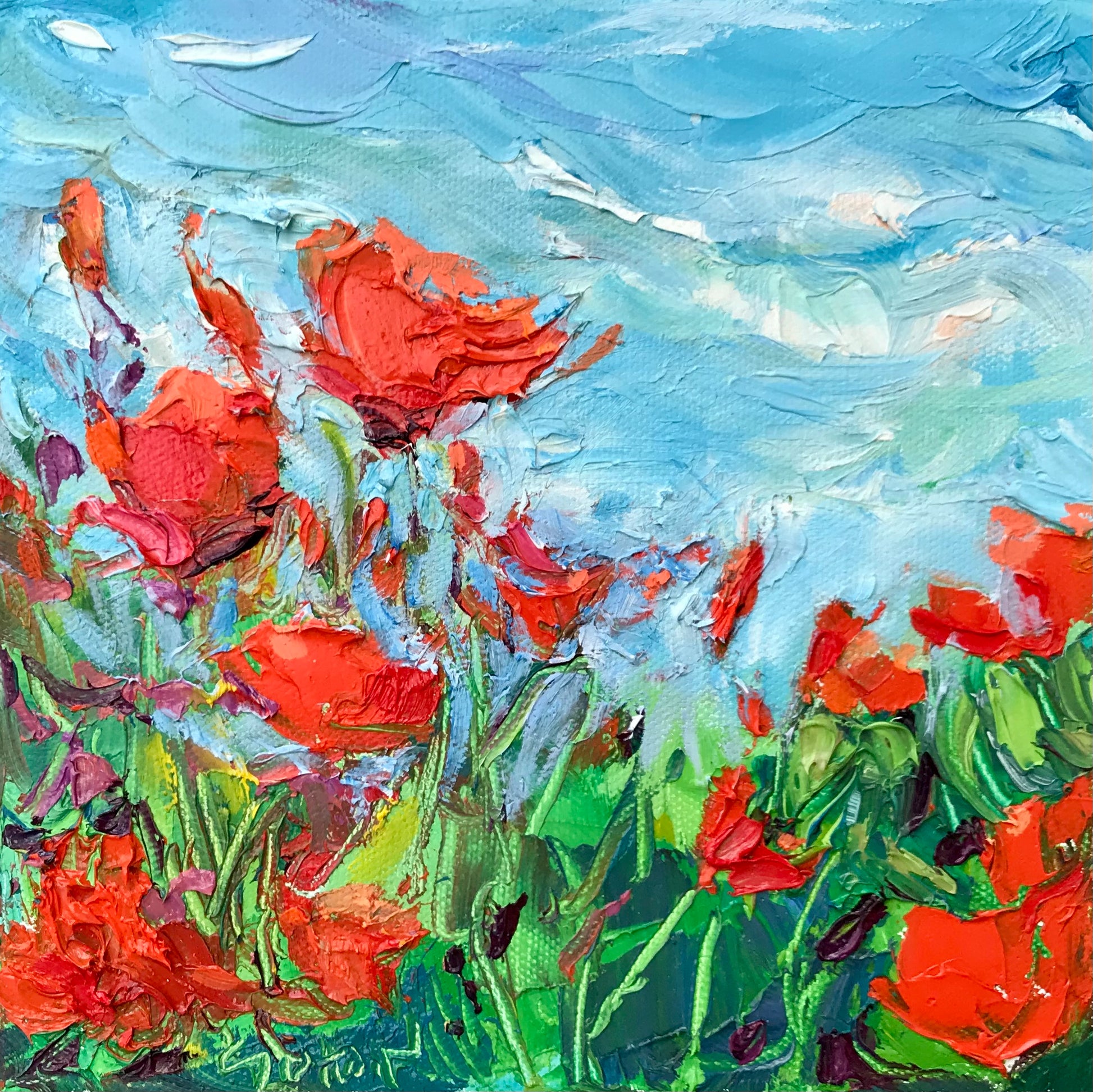 Sally Sutton Blue Sky Poppies II