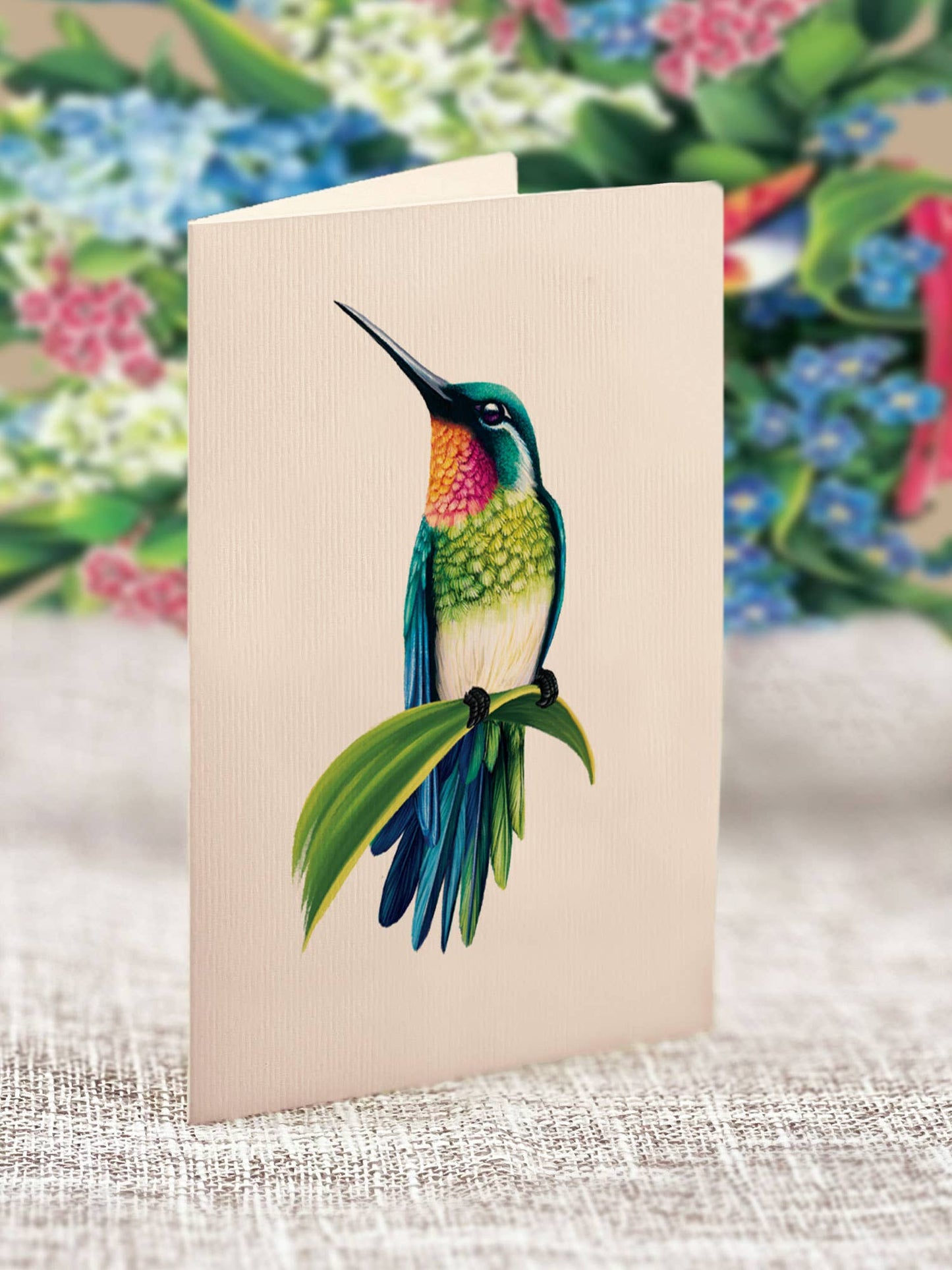 Mini Hummingbird Oasis