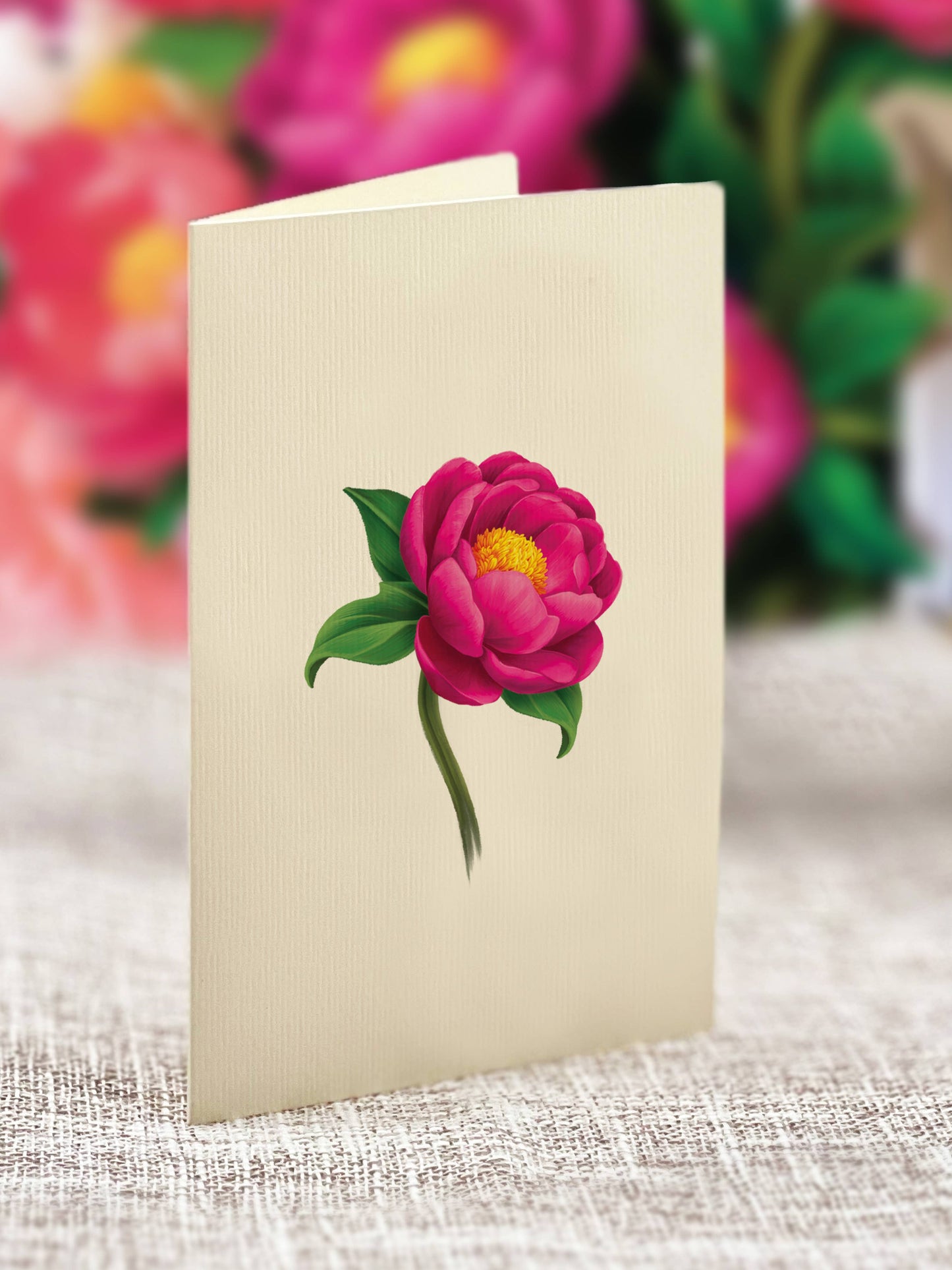 Mini Peony Paradise