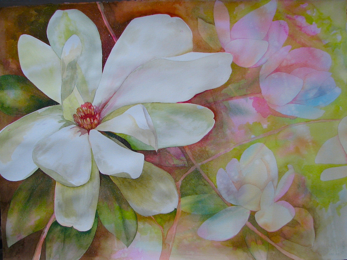 Barbara Rohde Carolina Beauty WC 28X36🎨 Barbara Rohde🎨 Buy Art at Carolina Creations Gallery in Downtown New Bern🎨