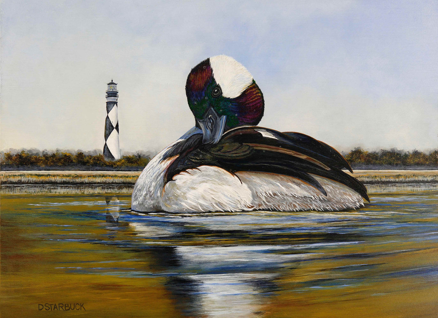 David Starbuck Simply Buffled🎨 David Starbuck🎨 Buy Art at Carolina Creations Gallery in Downtown New Bern🎨