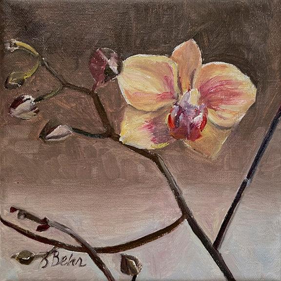 Brenda Behr First Bloom🎨 Brenda Behr🎨 Buy Art at Carolina Creations Gallery in Downtown New Bern🎨