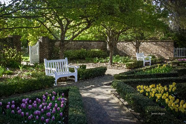 James Dugan Painted Garden🎨 🎨 Buy Art at Carolina Creations Gallery in Downtown New Bern🎨