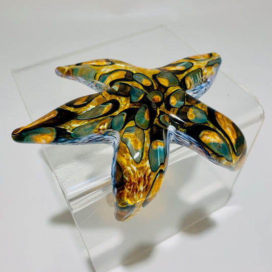 Creeping Barnacle Starfish🎨 Glass🎨 Buy Art at Carolina Creations Gallery in Downtown New Bern🎨