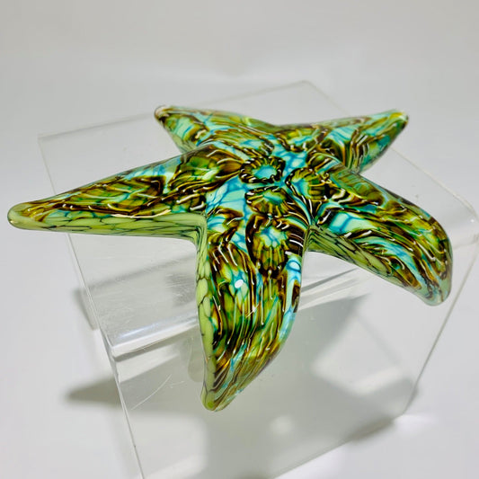 Creeping Barnacle Starfish🎨 Glass🎨 Buy Art at Carolina Creations Gallery in Downtown New Bern🎨