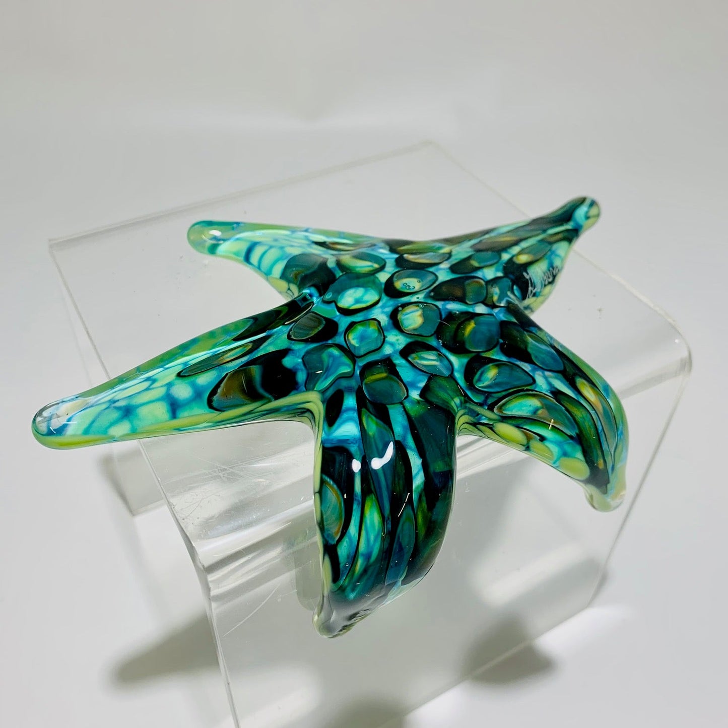 Creeping Barnacle Starfish🎨 Glass🎨 Buy Art at Carolina Creations Gallery in Downtown New Bern🎨