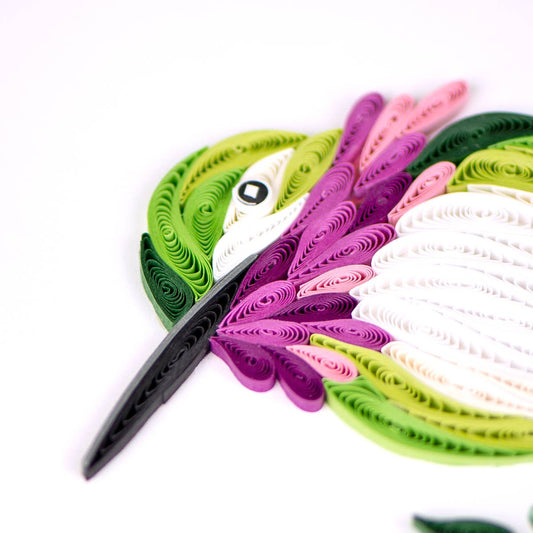 Calliope Hummingbird