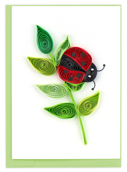 Ladybug Gift Enclosure Mini Card🎨 🎨 Buy Art at Carolina Creations Gallery in Downtown New Bern🎨