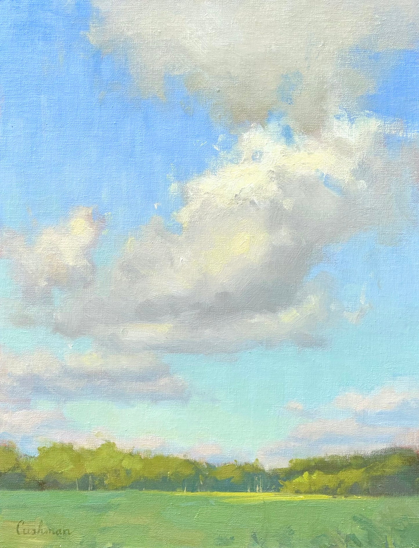 Audrey Cushman Drift Above the Fields 11X14