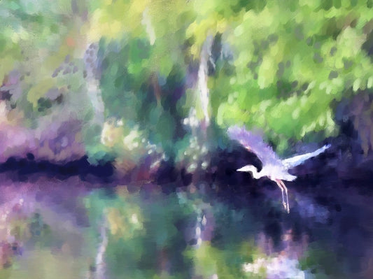 Suzanne Richey Heron Hide Out Canvas Giclee 20x24