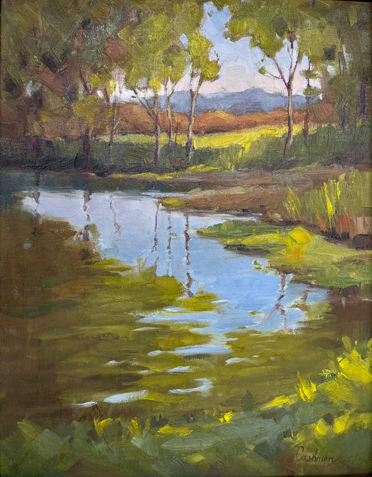 Audrey Cushman Reflections 11"X 14"