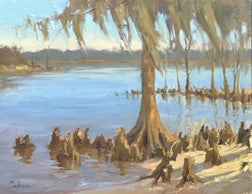 Audrey Cushman Sunlit Cypress