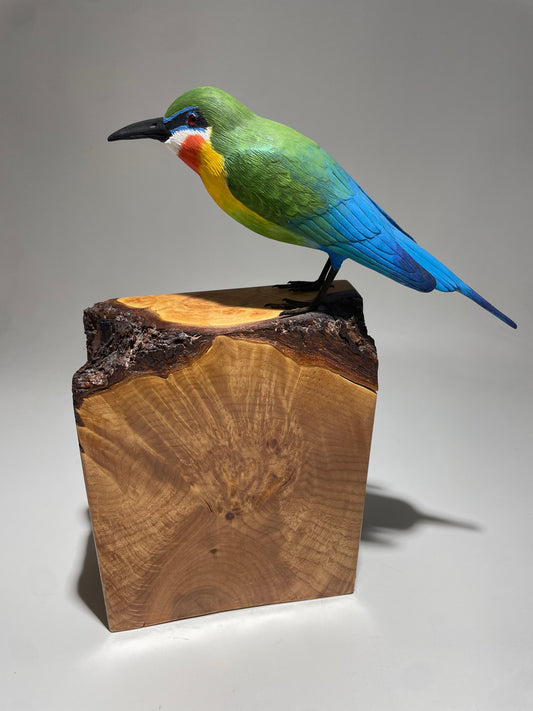 African Bee Eater