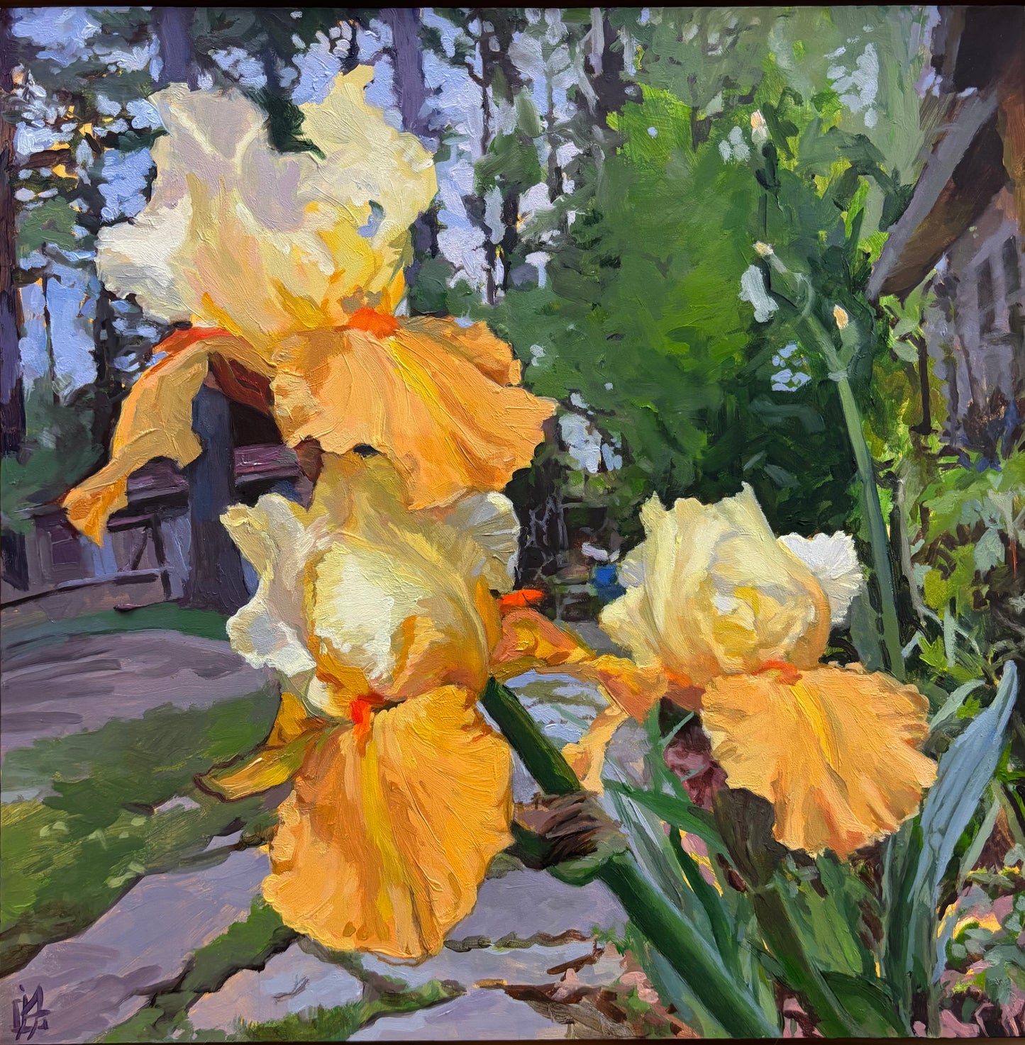 Julie Larick Coral Iris