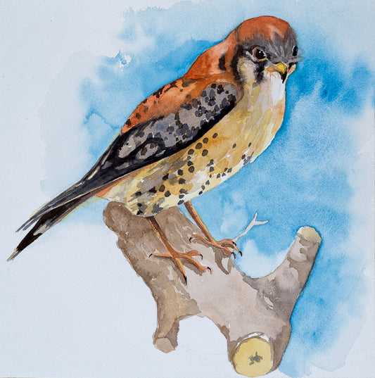 Barbara Rohde Original Kestral