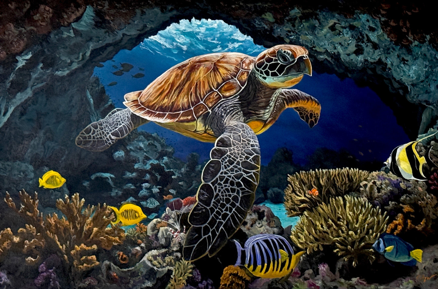 Kevin Fetzer Crush V 30x48