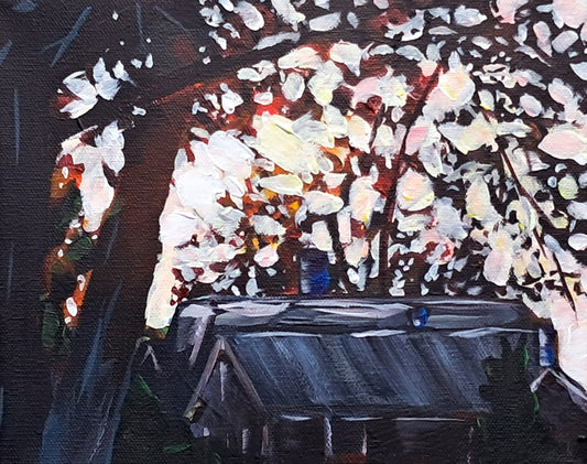 Chris Wagner Sun Roofs 10x8