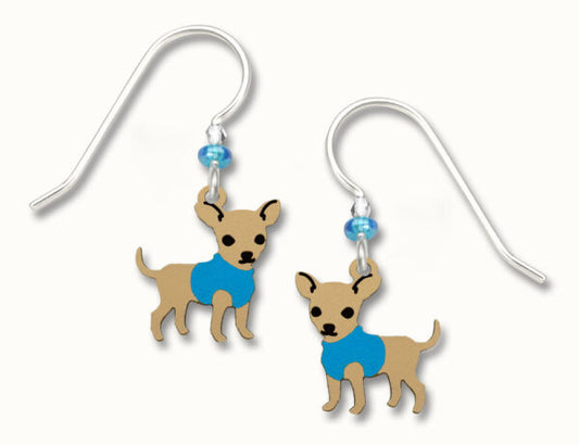 "Hugo" Chihuahua w Blue Coat