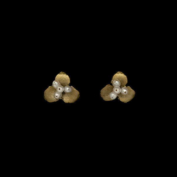 Pachysandra Studs