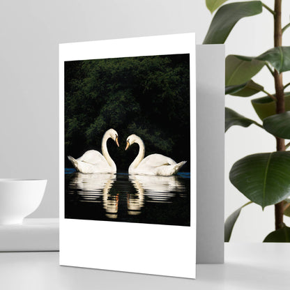 Two Swans for Life Anniversary Card