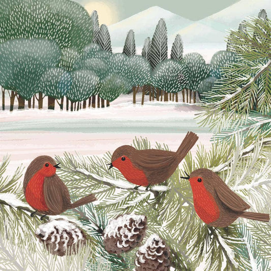 BEV-MEADOW BIRDS