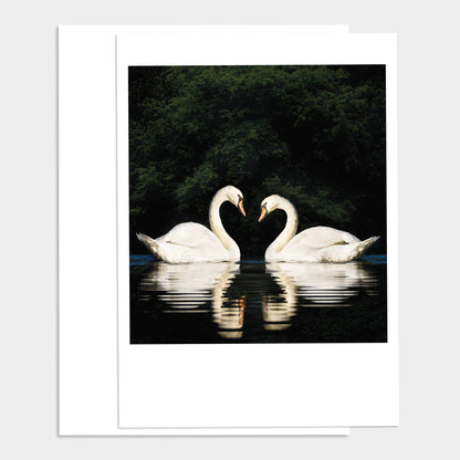 Two Swans for Life Anniversary Card