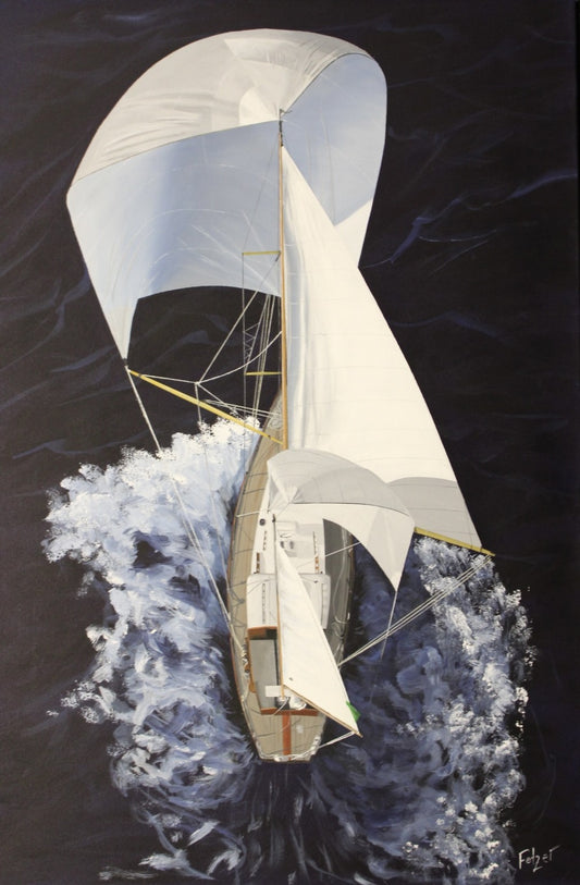 Kevin Fetzer Birds Eye View 24X36
