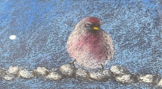 Bill Gramley Original Bird Watching? Paintings? Buy Art at Carolina Creations Gallery in Downtown New Bern?