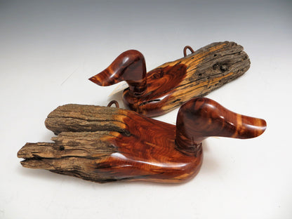 Small Duck Cedar? Wood? Buy Art at Carolina Creations Gallery in Downtown New Bern?