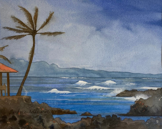 Barbara Rohde Original Sounds of Hawaii