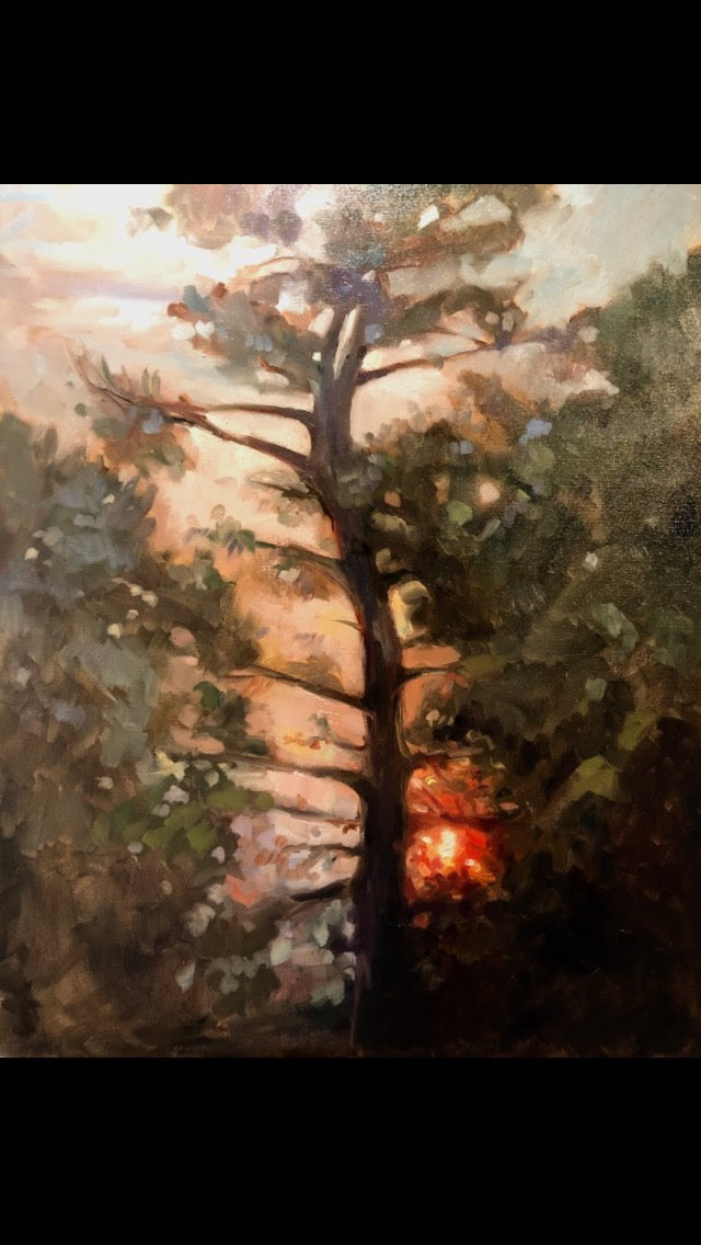 Susan Bradbury Bull Pine Oil 24X30🎨 Susan Bradbury🎨 Buy Art at Carolina Creations Gallery in Downtown New Bern🎨