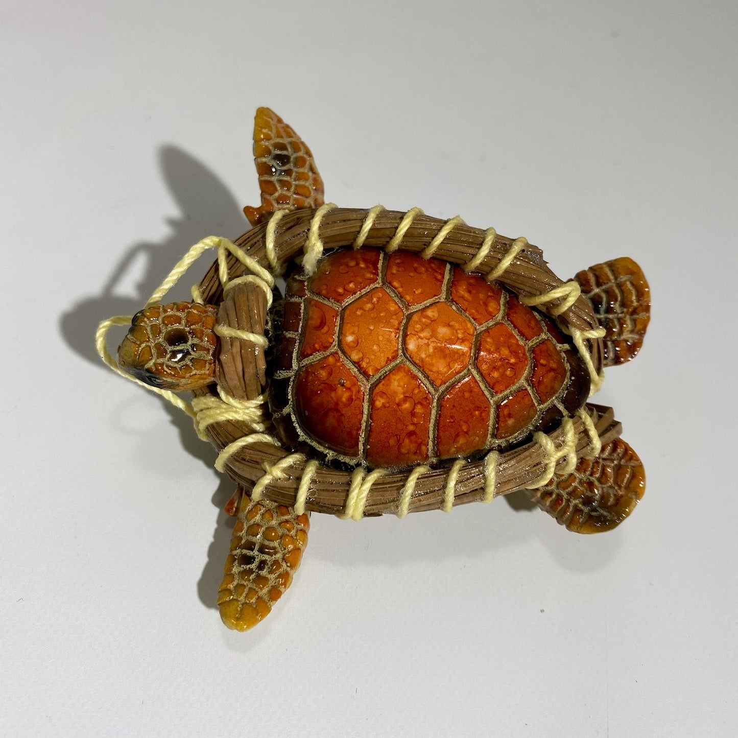 Donna Michaux Orange Pine Art Sea Turtles